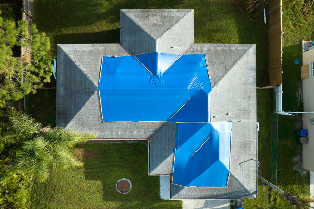 Best Asphalt Shingles Roofing  in Shelbyville, TN