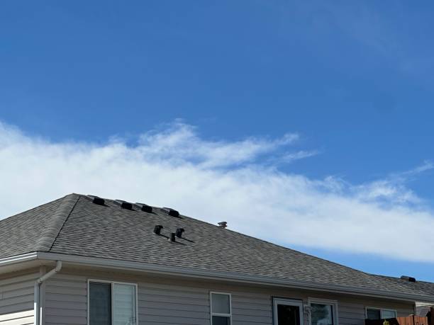 Best Roof Installation  in Shelbyville, TN
